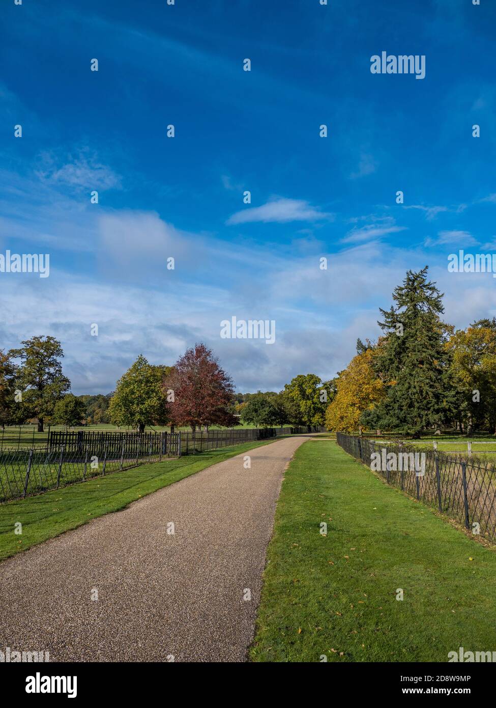 The Road to Englefield House, Englefield Estate, Englefield, Thale, Reading, Berkshire, England, UK, GB. Foto Stock