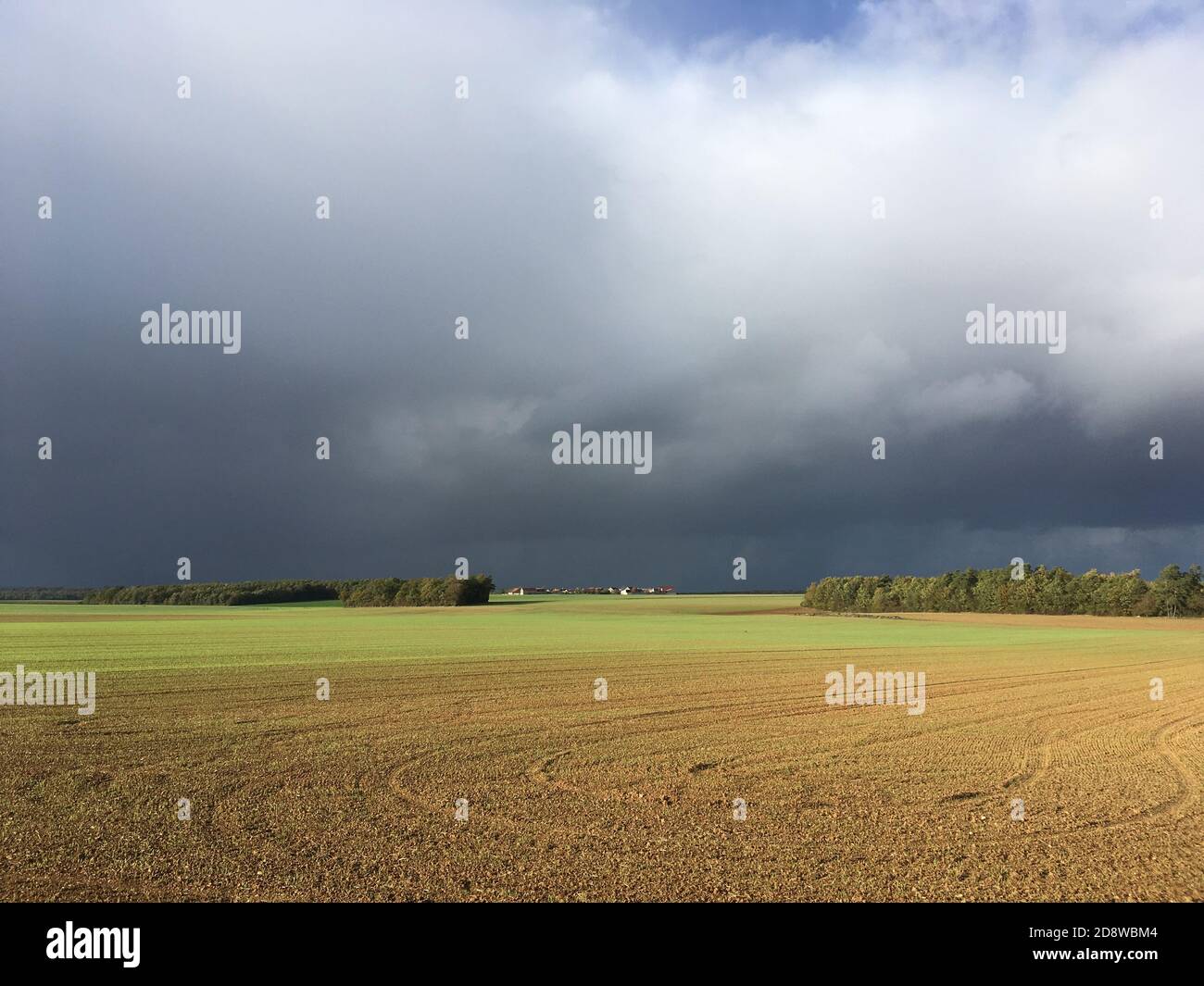 Paesaggio con minaccia di tessitore sul campo di colore oro con pioggia Nuvole grigie in Borgogna Francia Foto Stock