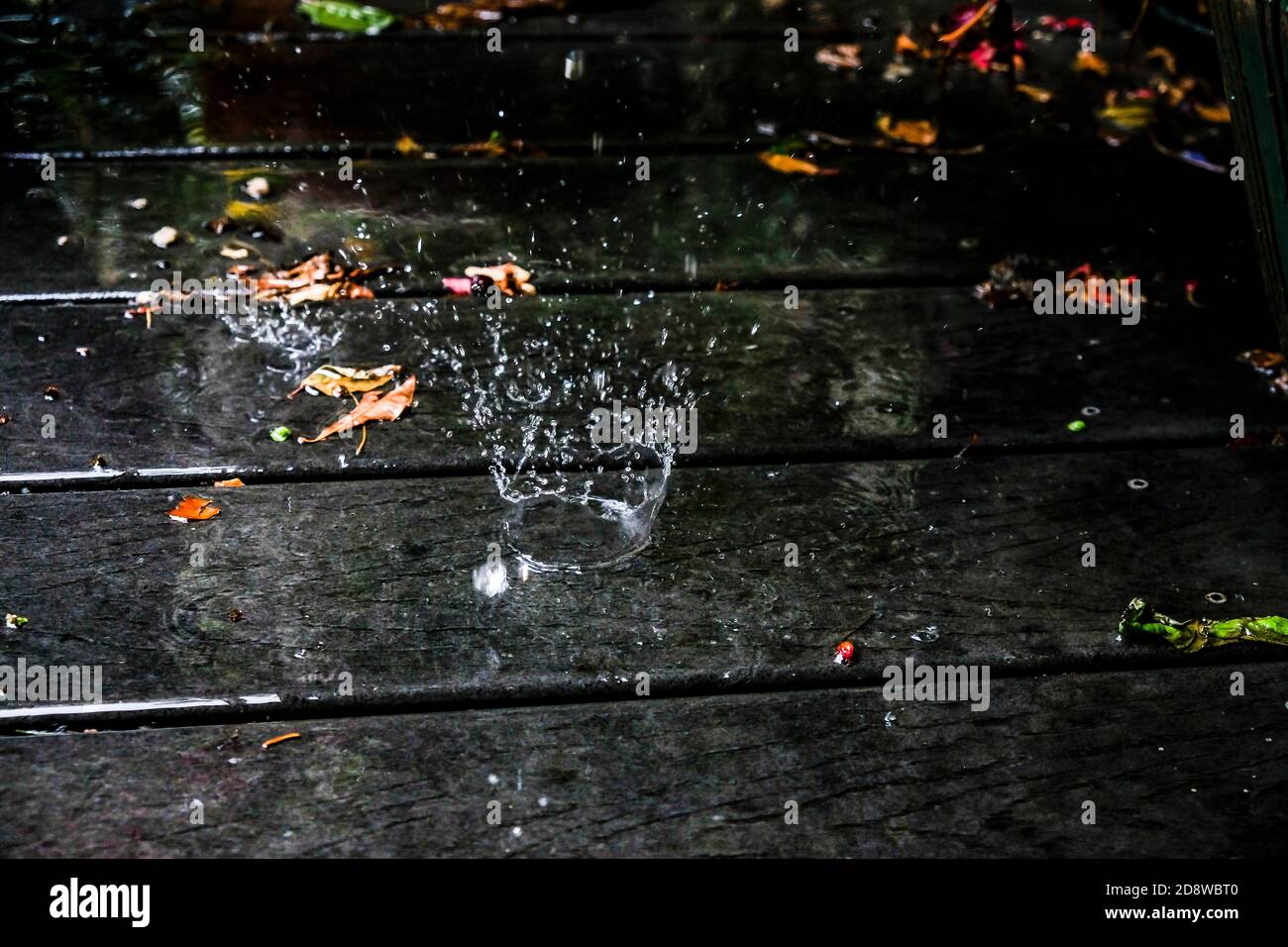 Corona come spruzzi di singolo raindrop sul ponte in giardino, con foglie di caduta Foto Stock