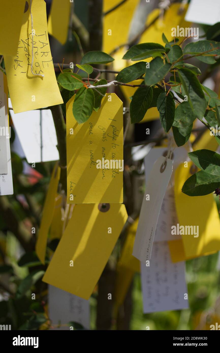 Un albero promettente allo spettacolo di fiori di Hampton Court con promesse poste in relazione al mondo naturale. Foto Stock