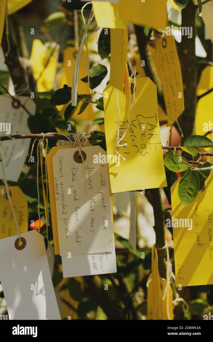Un albero promettente allo spettacolo di fiori di Hampton Court con promesse poste in relazione al mondo naturale. Foto Stock