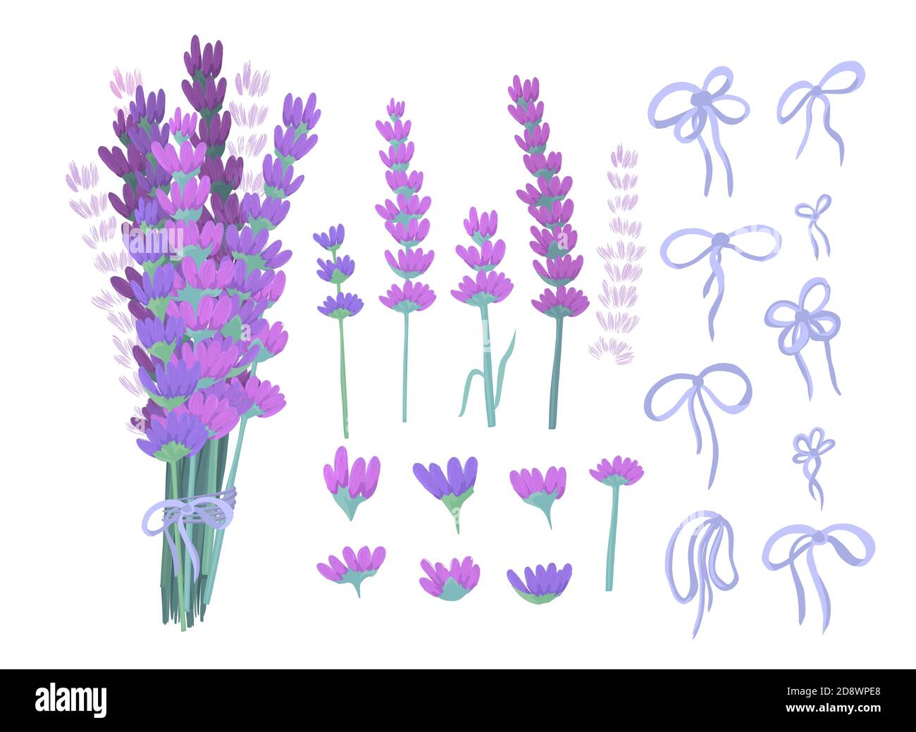 Un mazzo di lavanda. Un insieme di elementi per la creazione di un bouquet. Illustrazione vettoriale Illustrazione Vettoriale