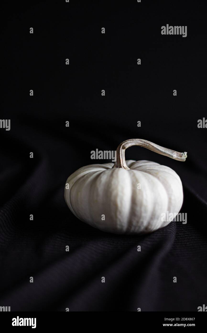 Zucca bianca con sfondo scuro Foto Stock