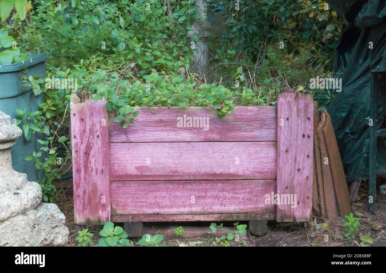 Piantatrice in legno con piante da giardino, rossastra Foto Stock