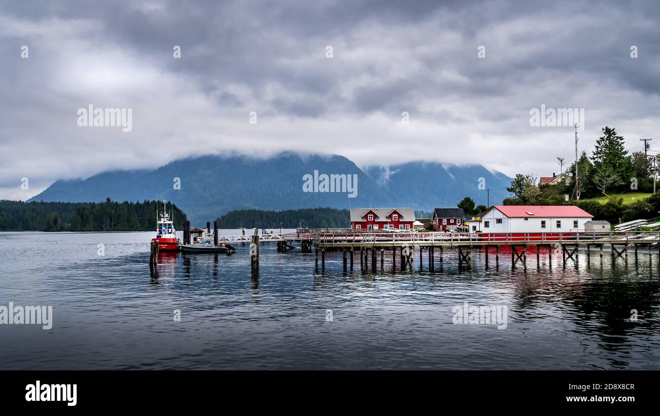 Il porto della città di Tofino nel Pacific Rim sull'isola di Vancouver, British Columbia, Canada Foto Stock