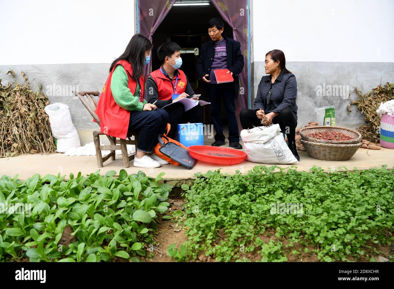 Pechino, Hefei Città della Provincia Anhui della Cina orientale. 1 novembre 2020. I pazienti che hanno effettuato un censimento registrano le informazioni dei residenti di una famiglia nella città di Zipeng, nella contea di Feixi, Hefei, nella provincia di Anhui, nella Cina orientale, 1 novembre 2020. Domenica la Cina ha iniziato il suo settimo numero di abitanti nazionali, con circa 7 milioni di persone che hanno effettuato il censimento porta a porta per documentare i cambiamenti demografici nel paese più popoloso del mondo. Credit: Liu Junxi/Xinhua/Alamy Live News Foto Stock