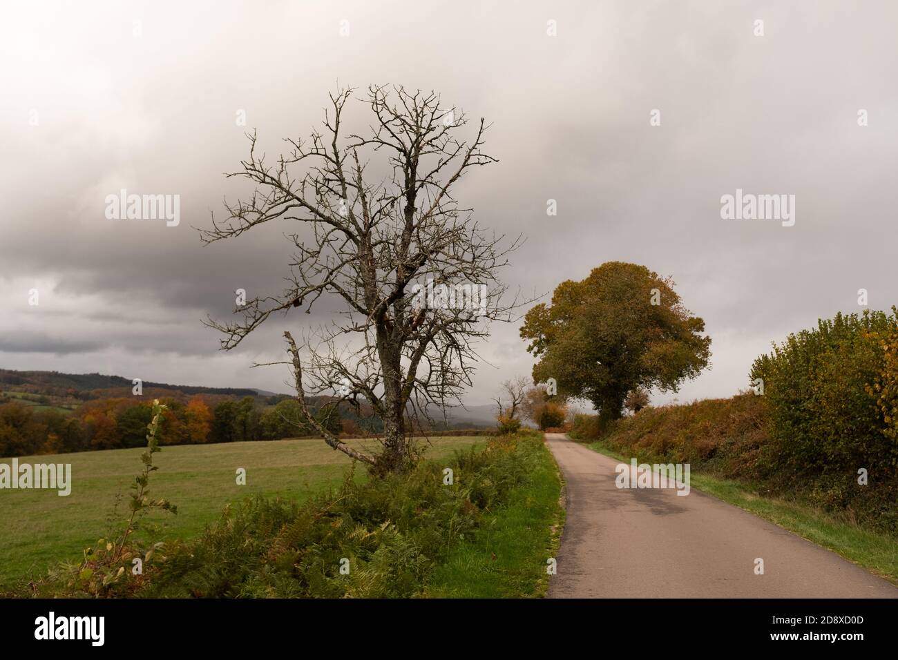 Paesaggio francese in Morvan Borgogna - paysage du Morvan Bourgogne Foto Stock