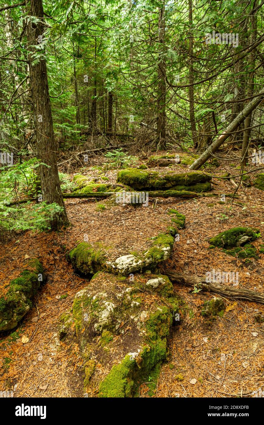 Sentiero escursionistico della penisola di Bruce Tobermory Ontario Canada Foto Stock