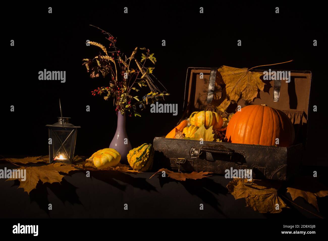 Primo piano di una composizione autunnale con zucche e foglie essiccate su uno sfondo scuro Foto Stock