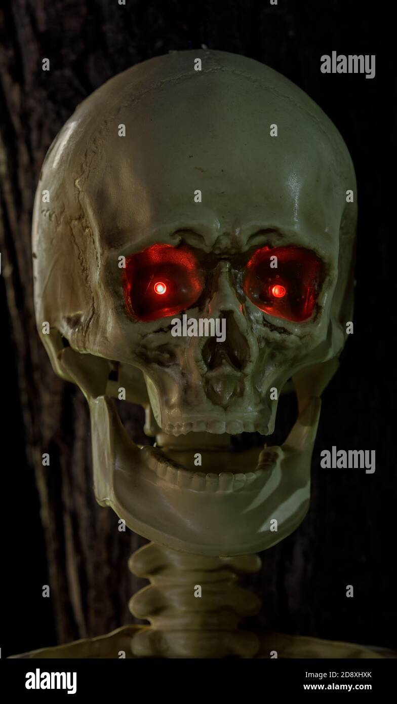 Cranio con occhi rossi incandescenti decorazioni Halloween Light-Up Foto Stock