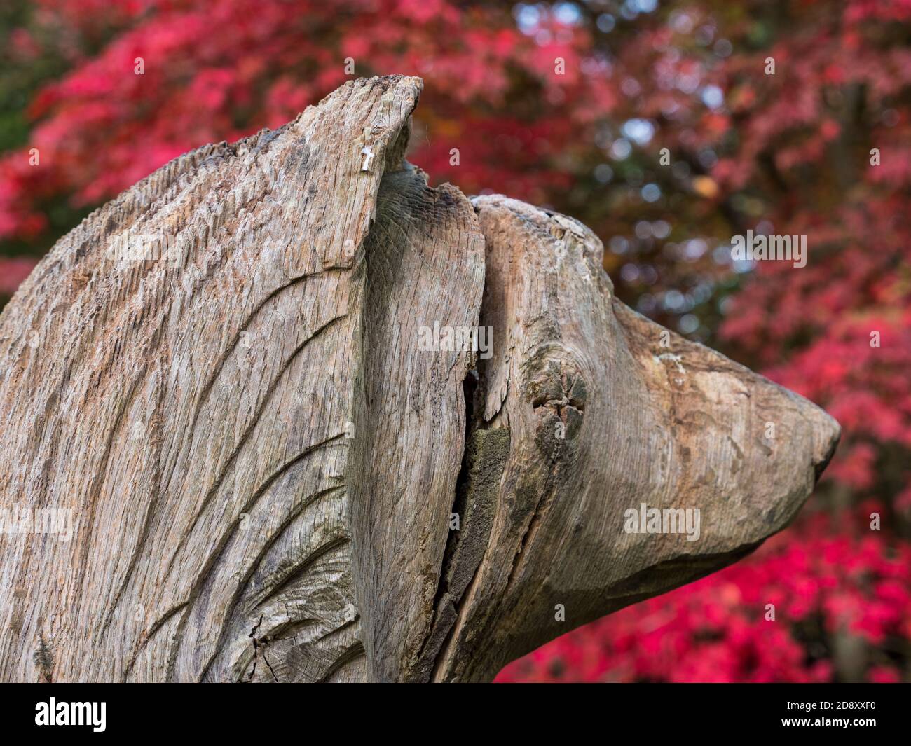 Caved Wooden Bear, Gardens, Englefield House, Berkshire, Inghilterra, Regno Unito, GB. Foto Stock