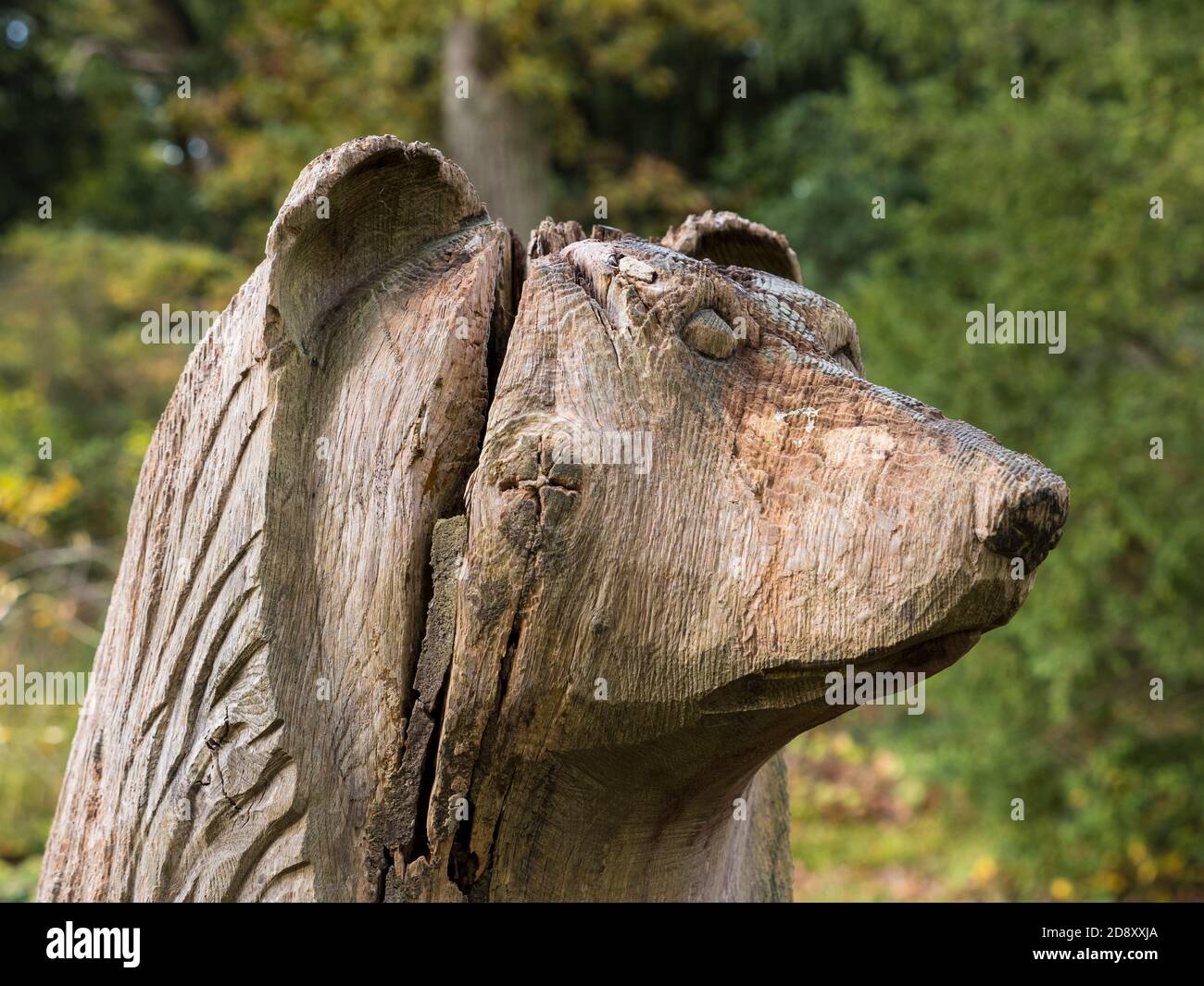 Caved Wooden Bear, Gardens, Englefield House, Berkshire, Inghilterra, Regno Unito, GB. Foto Stock