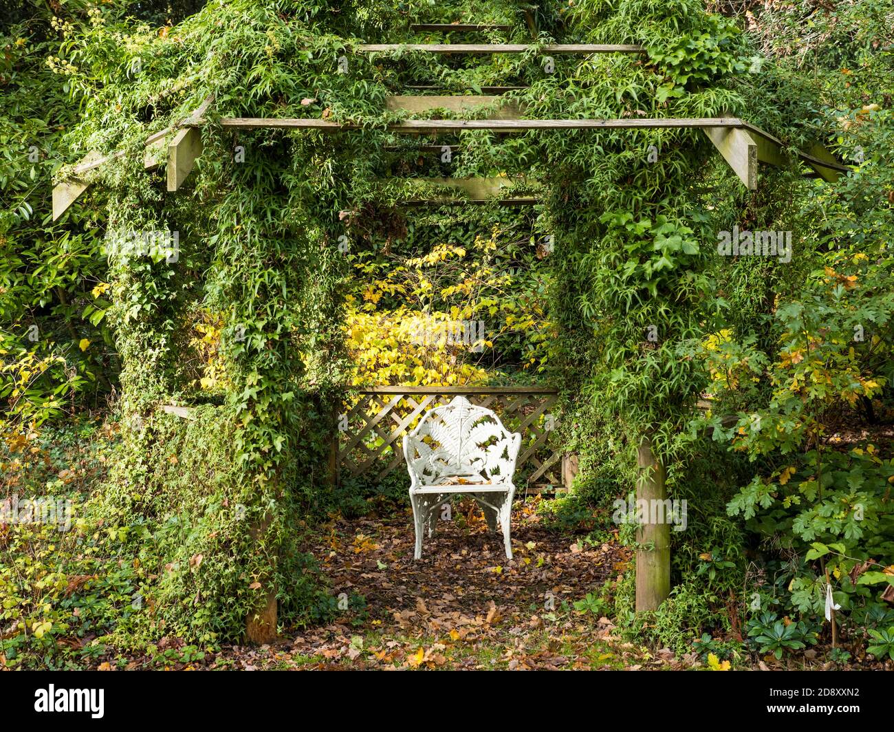 Country House Garden, Chair Under Pagoda, Englefield House Gardens, Englefield, Thale, Reading, Berkshire, Inghilterra, UK, GB. Foto Stock