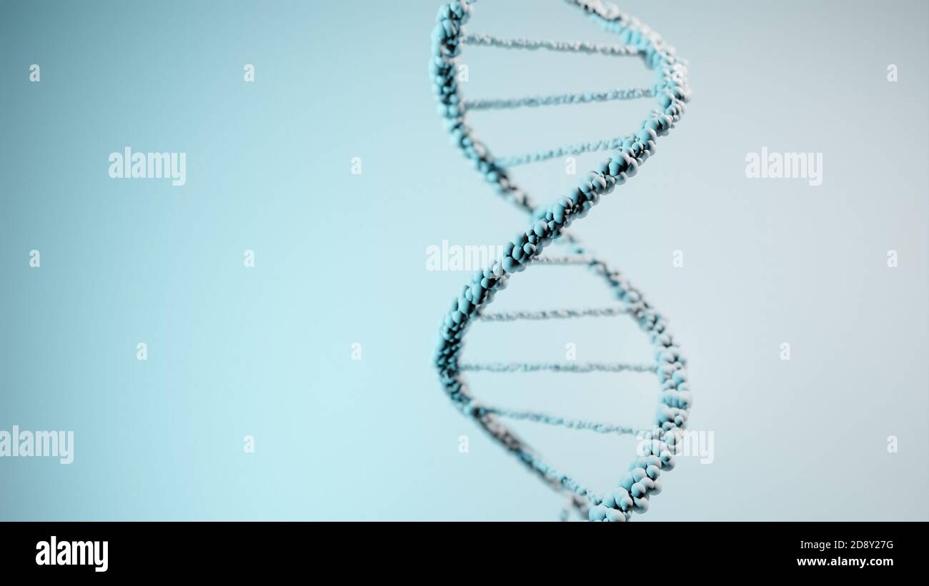 DNA, acido deossiribonucleico, struttura di molecola a doppia elica, catene polinucleotidiche, atomi, filamenti di struttura genetica umana illustrazione modello 3D Foto Stock