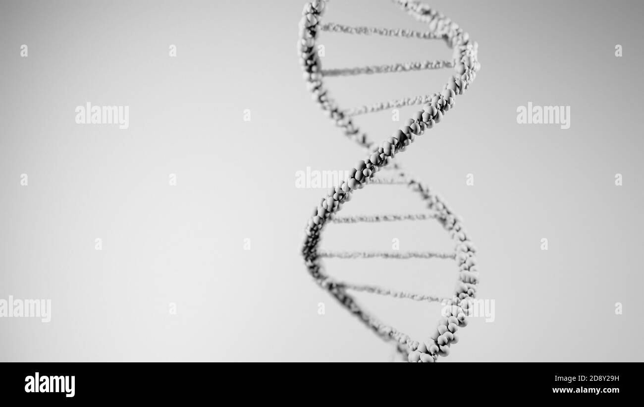 DNA, acido deossiribonucleico, struttura di molecola a doppia elica, catene polinucleotidiche, atomi, filamenti di struttura genetica umana illustrazione modello 3D Foto Stock