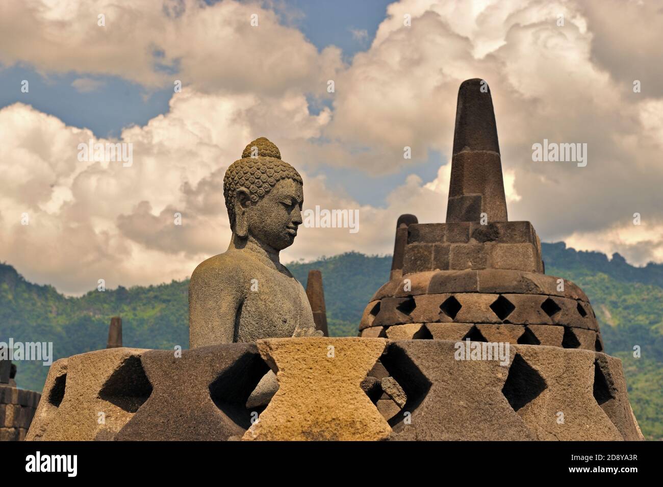 A prima vista, tutte le statue del Buddha appaiono simili, ma c'è una sottile differenza tra loro nelle mudra o nella posizione delle mani. Altro Foto Stock