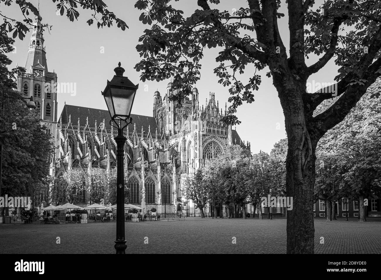 La cattedrale Sint Jan a Den Bosch di notte con lampade che brillano su di esso Foto Stock