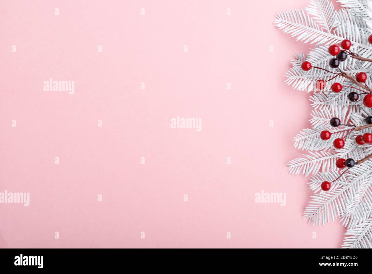 Confine natalizio con rami di abete, rowan e luci dorate su sfondo rosa pastello Foto Stock