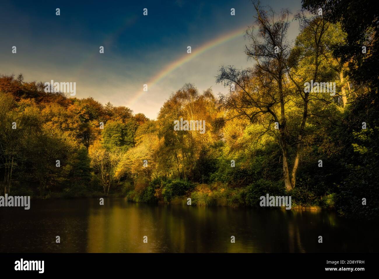 Arcobaleno su Fishlond Wood, Bewerley, North Yorkshire Foto Stock