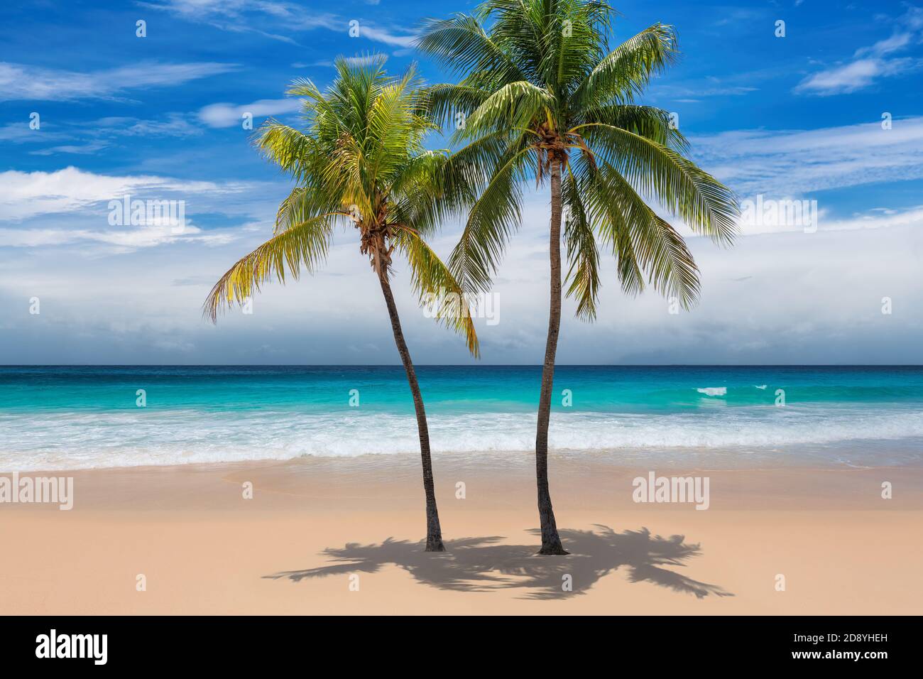 Spiaggia tropicale soleggiata con palme da cocco e il mare turchese sull'isola caraibica. Foto Stock
