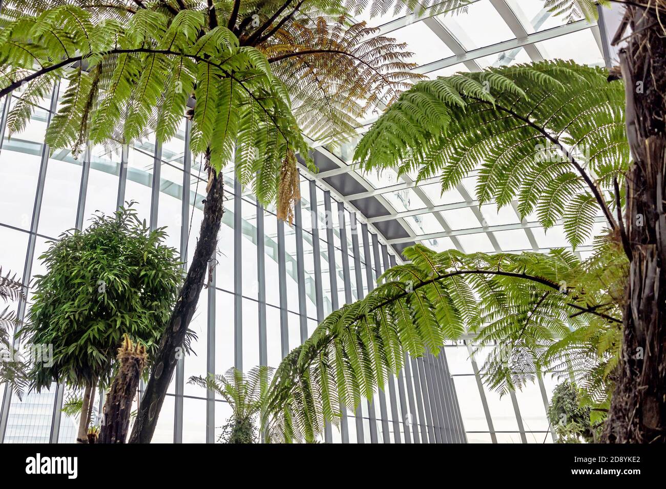 Interni moderni con piante verdi allo Sky Garden di Londra Foto Stock