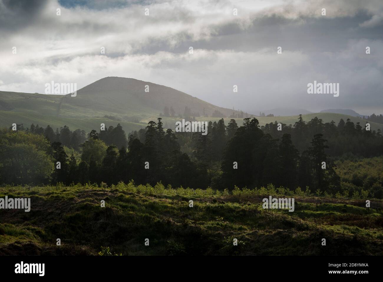 Vista panoramica della campagna pianure con alberi forestali e colline all'orizzonte, in una giornata torbida Foto Stock