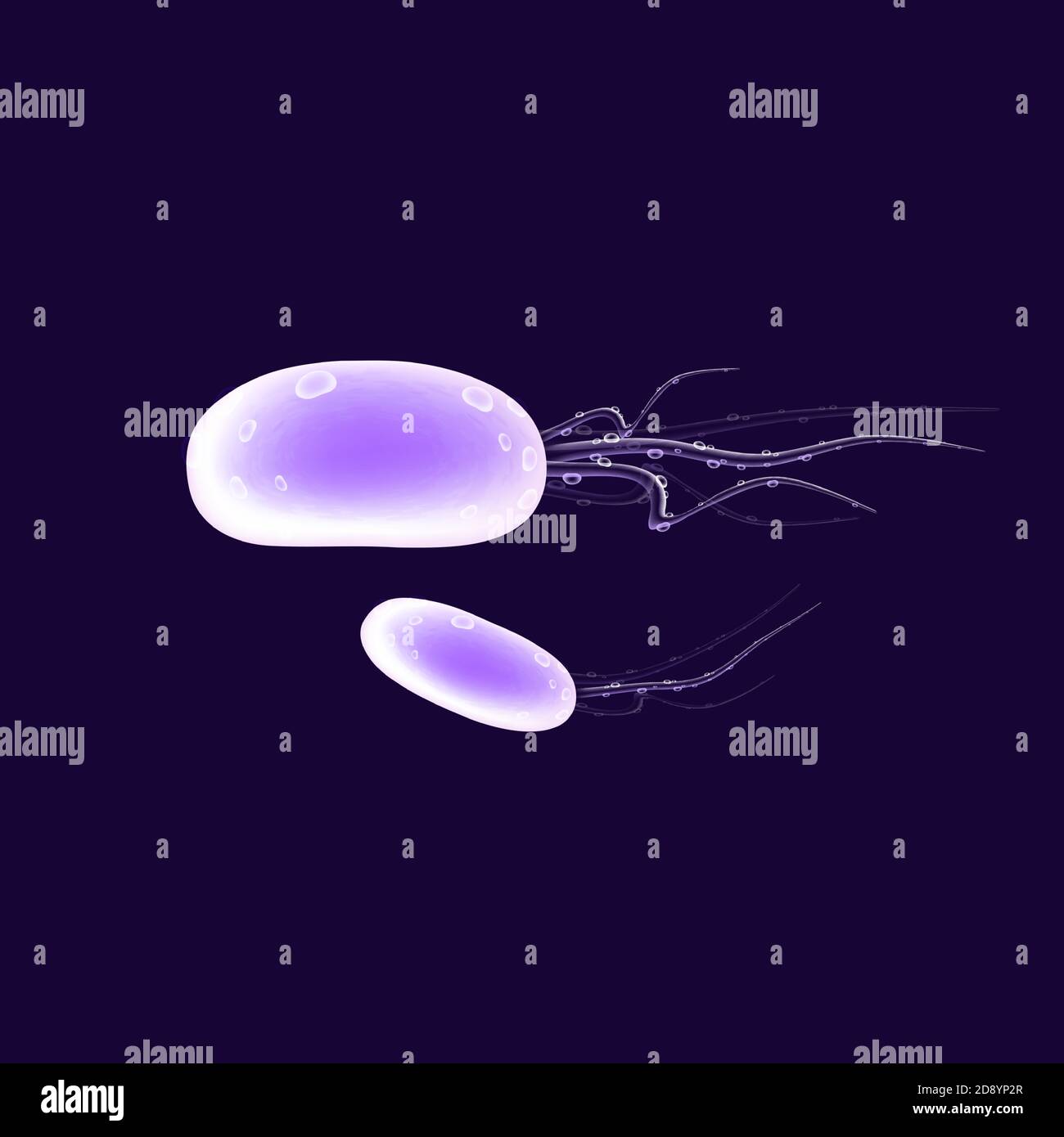 Illustrazione vettoriale realistica delle cellule del virus Illustrazione Vettoriale