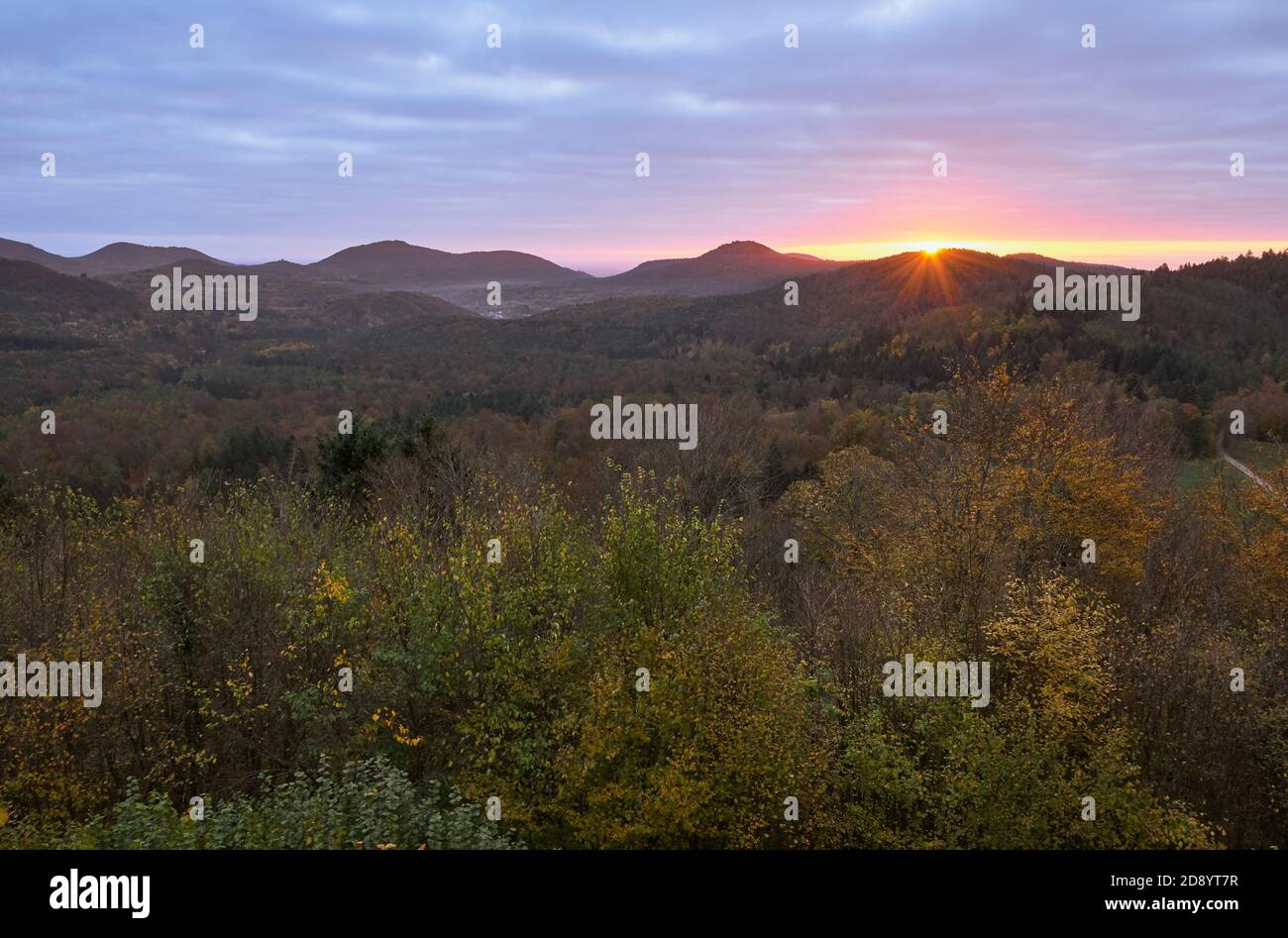 Palatinato foresta in Germania e paesaggio autunnale durante l'alba Foto Stock