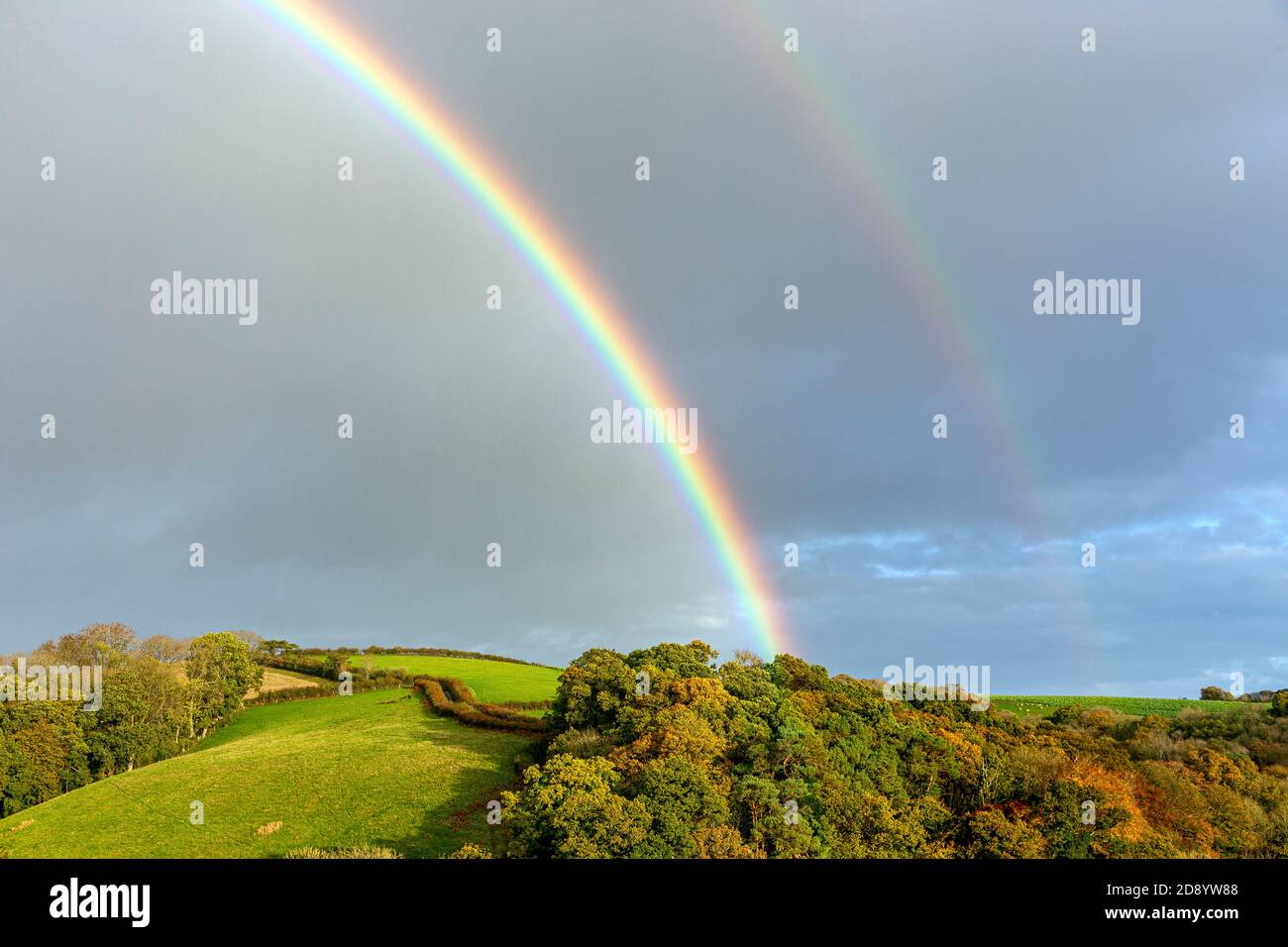Campi di Devon con arcobaleno, Paesaggio - paesaggio, Agricoltura, bellezza nella natura, Blu, Branch - Inghilterra, Cultura Inglese, Europa, sentiero, Foto Stock