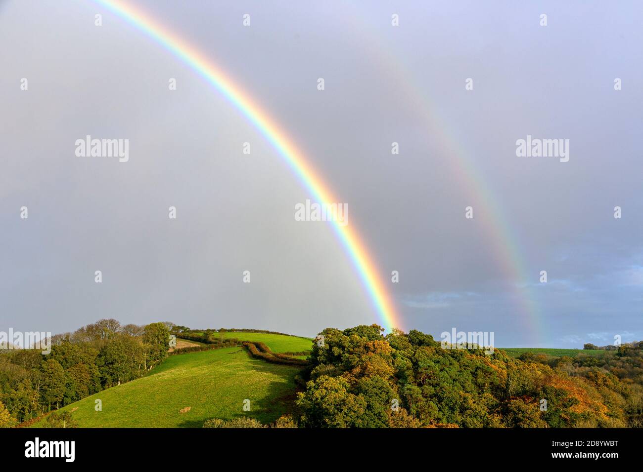 Campi di Devon con arcobaleno, Paesaggio - paesaggio, Agricoltura, bellezza nella natura, Blu, Branch - Inghilterra, Cultura Inglese, Europa, sentiero, Foto Stock