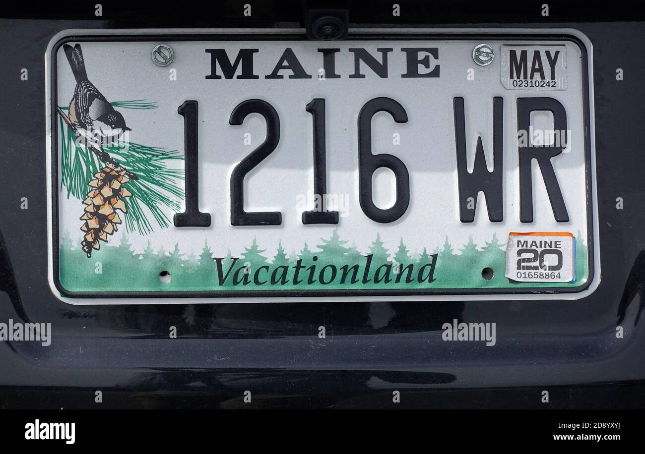 Targa di immatricolazione della patente di guida per autoveicoli sul retro di Un'automobile del passeggero dallo stato del Maine USA Foto Stock