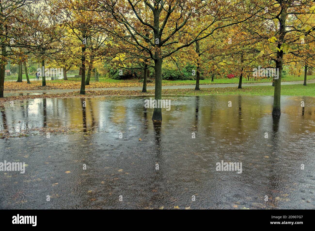 Glasgow, Scozia, Regno Unito. 2ndt Novembre, 2020: Regno Unito Meteo:inondazioni hanno visto il parco kelvingrove sotto l'acqua e sotto il ponte ferroviario Partick allagato in una corsia . Credit: Gerard Ferry/Alamy Live News Foto Stock