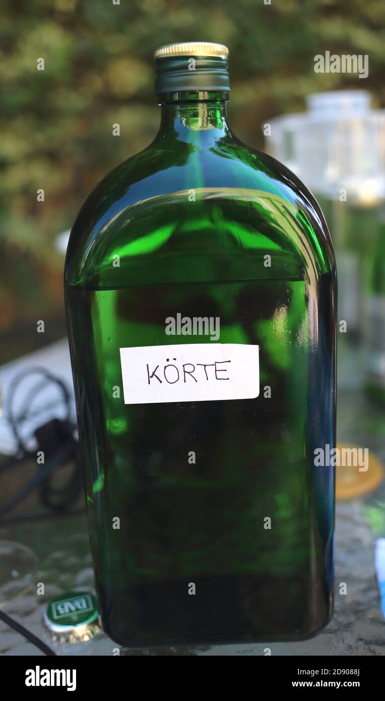 Una bottiglia verde di hazi, pera, korte, palinka fatta in casa Foto Stock
