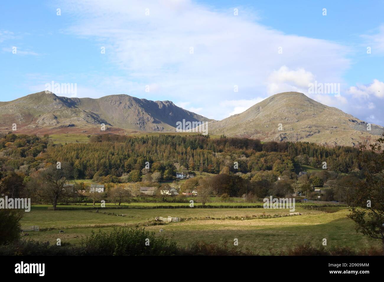 Buck Pike (a sinistra) e il famoso Coniston Old Man (a destra) con le foreste nelle Cumbrian Mountains del Lake District National Park nell'Inghilterra settentrionale. Foto Stock