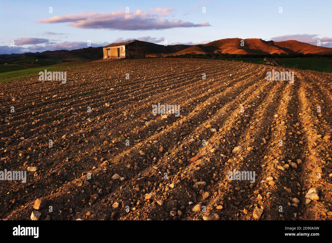 Campo arato con fattoria sulla collina, un paesaggio rurale della Sicilia agricoltura Foto Stock