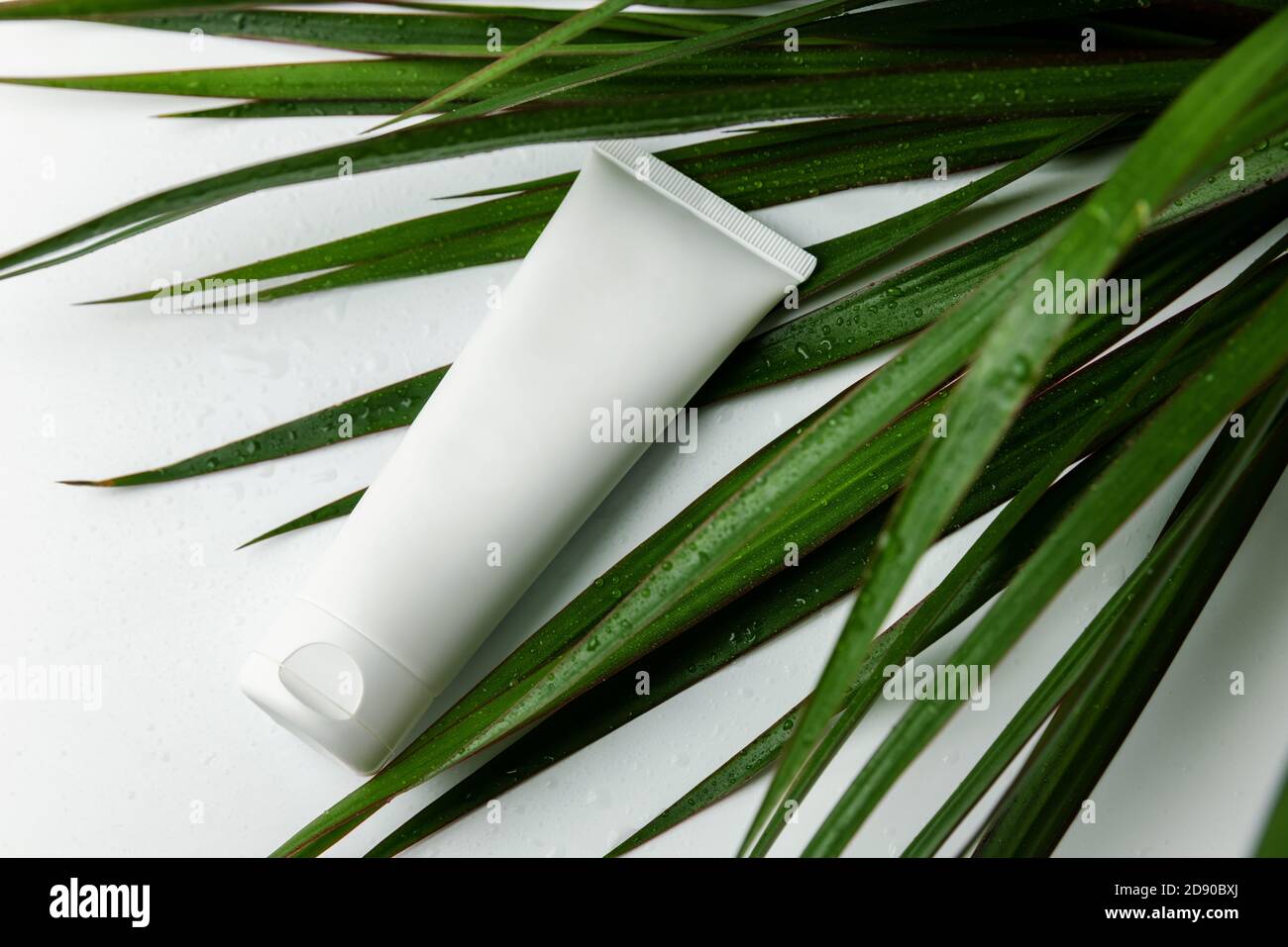 tubo per crema corpo e foglie di piante verdi bagnate su sfondo bianco. mockup contenitore cosmetico vuoto Foto Stock