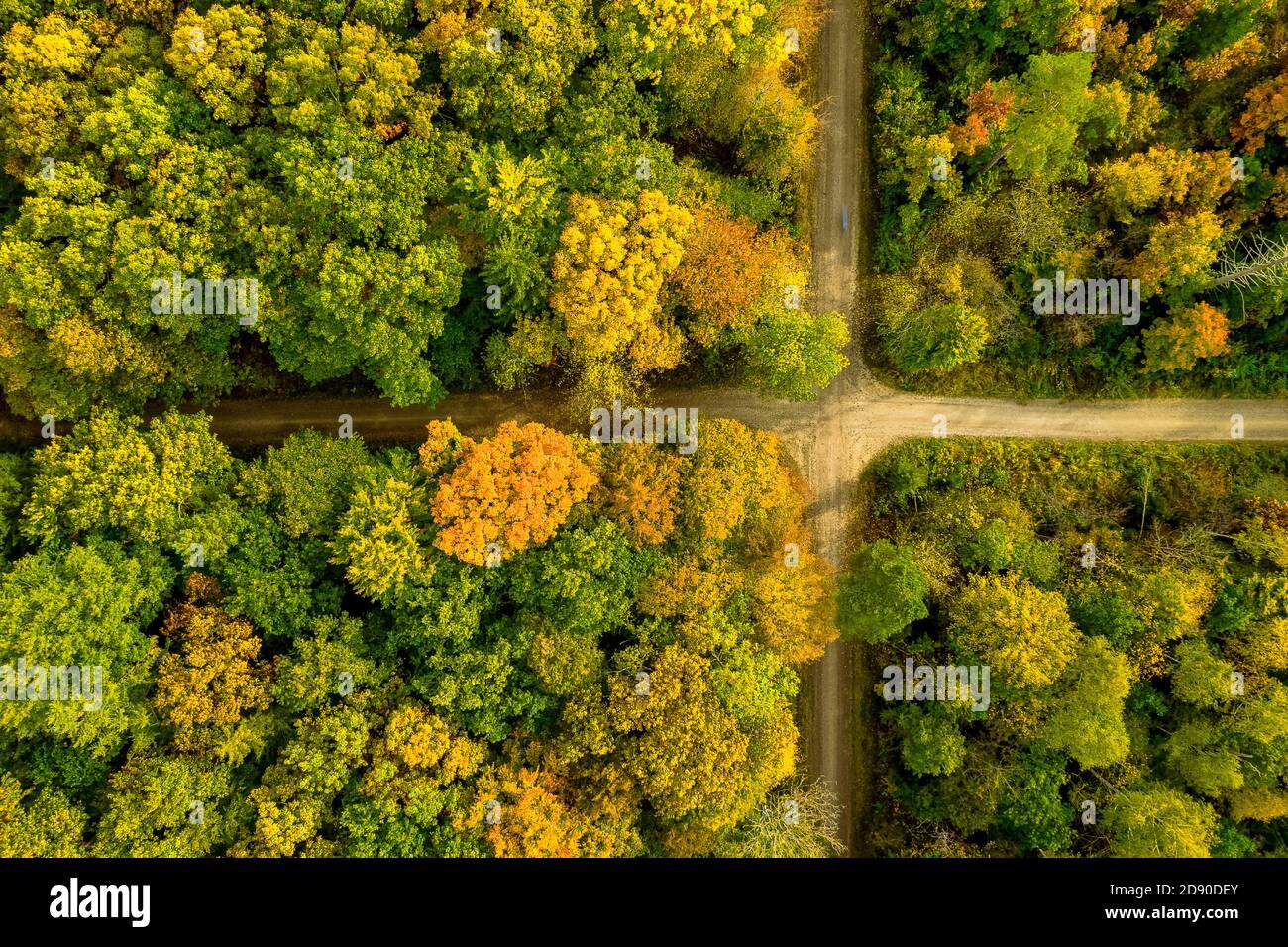 Attraversare una foresta appare come una bandiera naturale, drone sparato in autunno direttamente dall'alto. Foto Stock