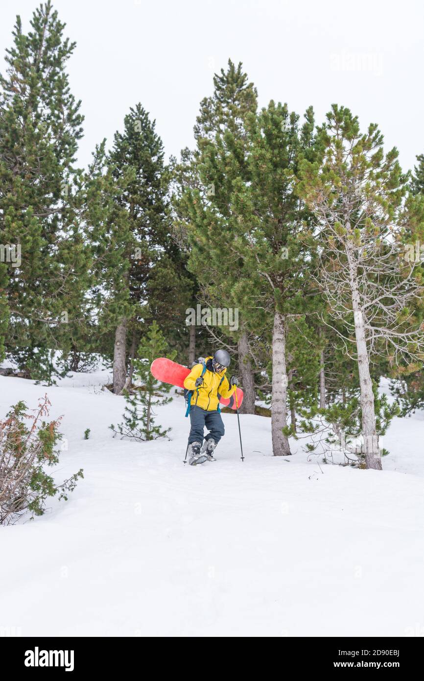 Free rider godendo la neve e la sua snowboard su un piste da sci Foto Stock