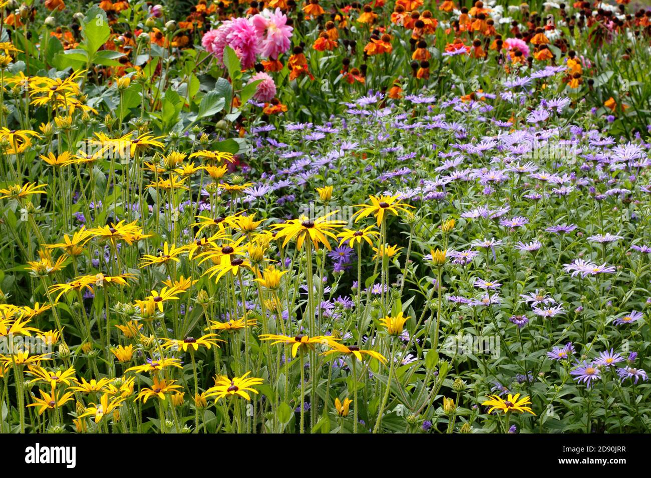 Inizio autunno, fine estate giardino confine con Asters, rudbeckia, dahlias e elieniums Foto Stock