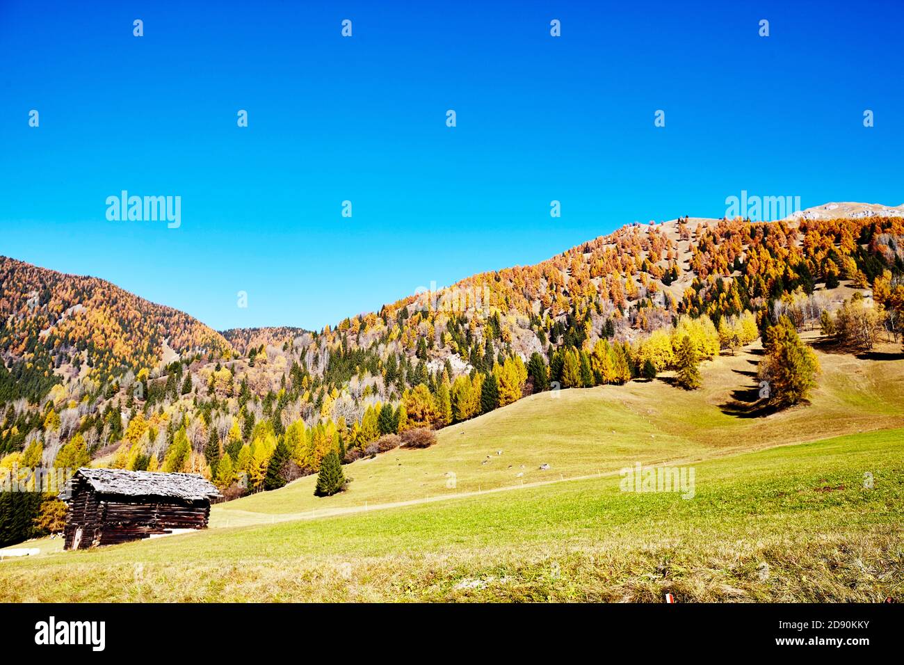 Parco protetto del Trentino Alto Adige in Italia Foto Stock