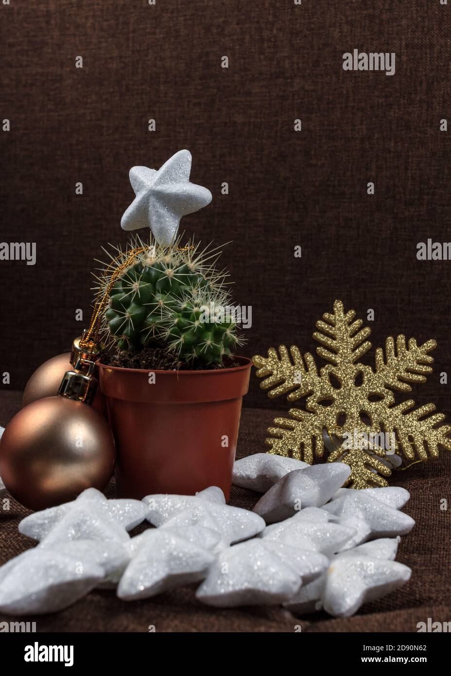 Albero di Natale creativo, cactus con palla d'oro e decorazione fiocco di neve e stelle lucenti, concetto di fondo carta regalo su sfondo marrone Foto Stock