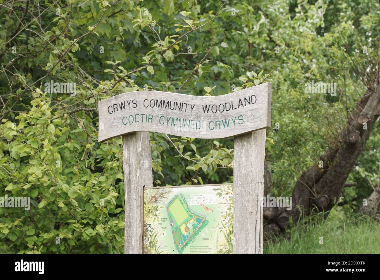 Crwys Community Woodland, tre croci, Gower, Galles, Regno Unito Foto Stock