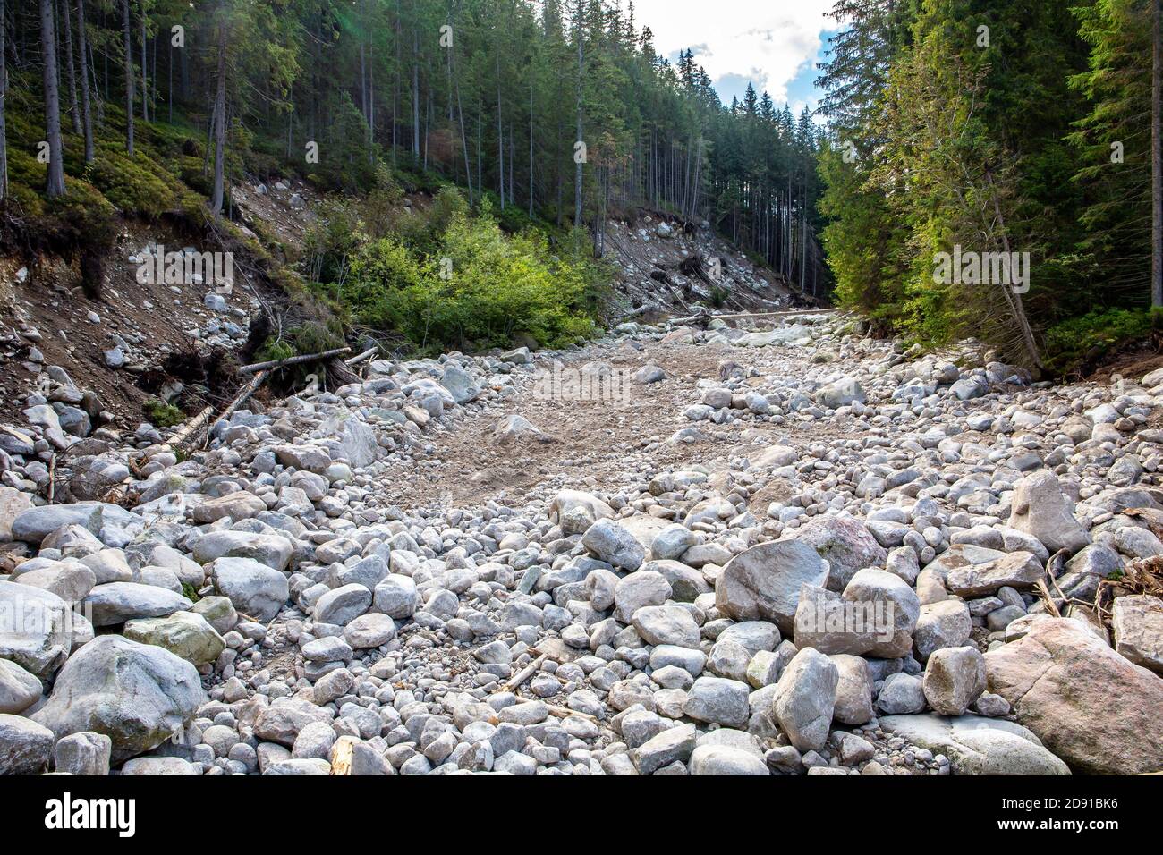 Secca pietroso fiume in foresta di conifere in Tatra Montagne, Polonia. Foto Stock
