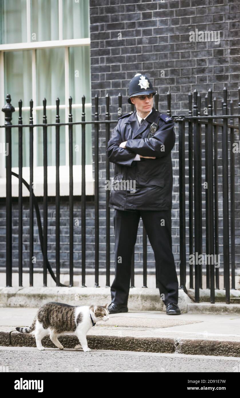 LONDRA, Regno Unito - 19 aprile 2017: Ufficiale della polizia metropolitana in servizio e il gatto chiamato Larry il gatto 10 Downing Street e il capo Mouser per il Gabinetto Offic Foto Stock