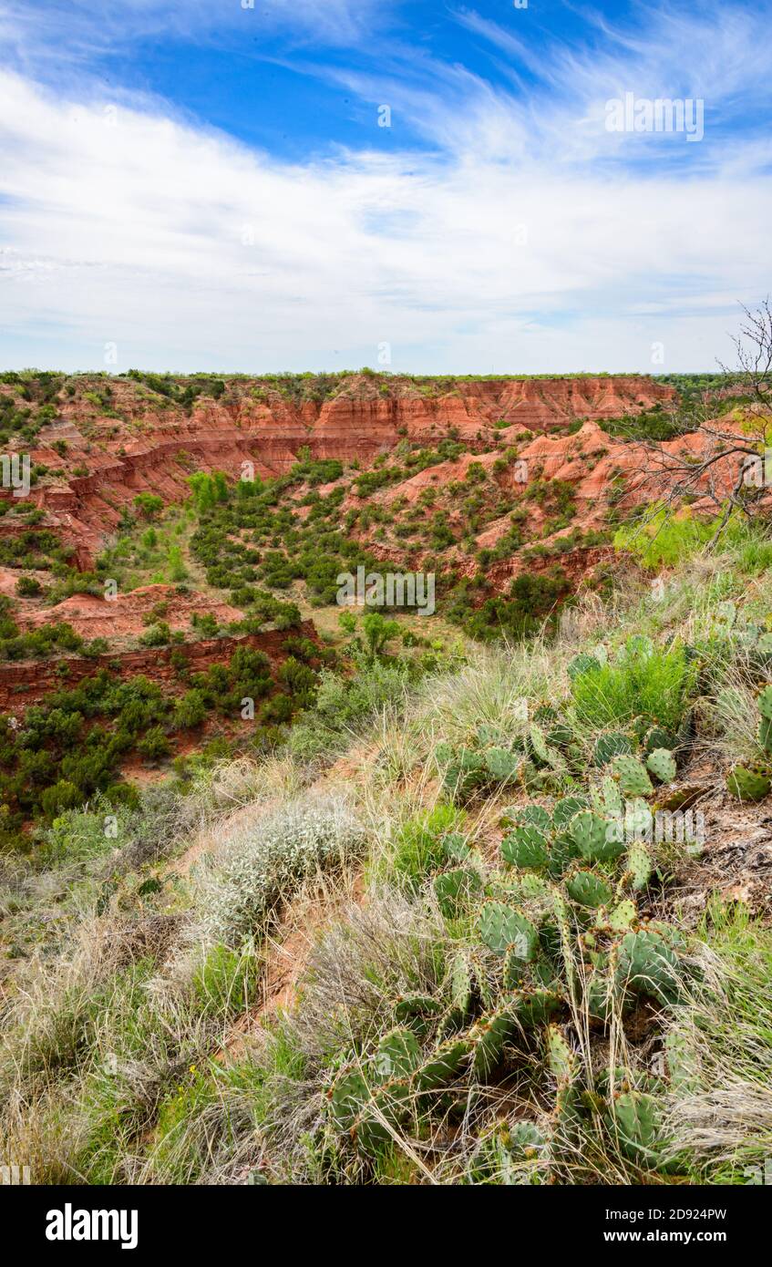 Caprock Canyon State Park e Trailway Foto Stock