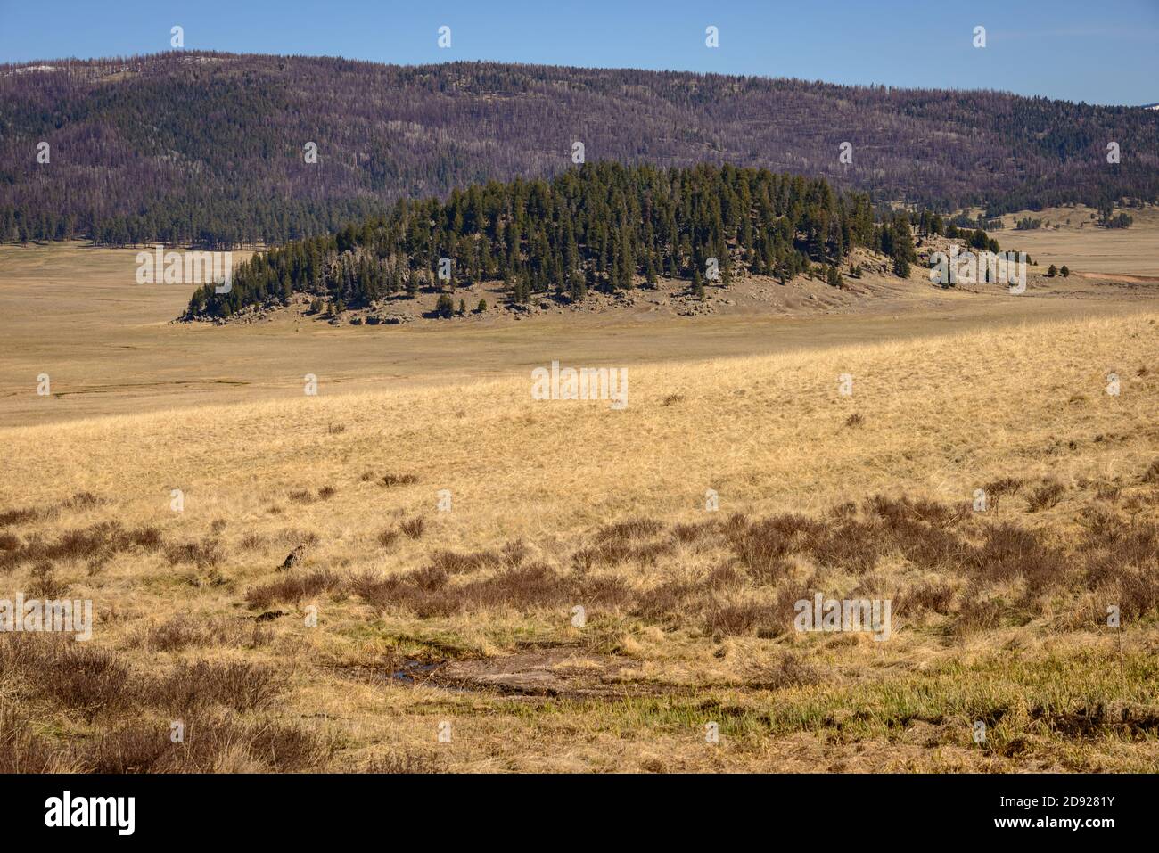Valles Caldera National Preserve Foto Stock
