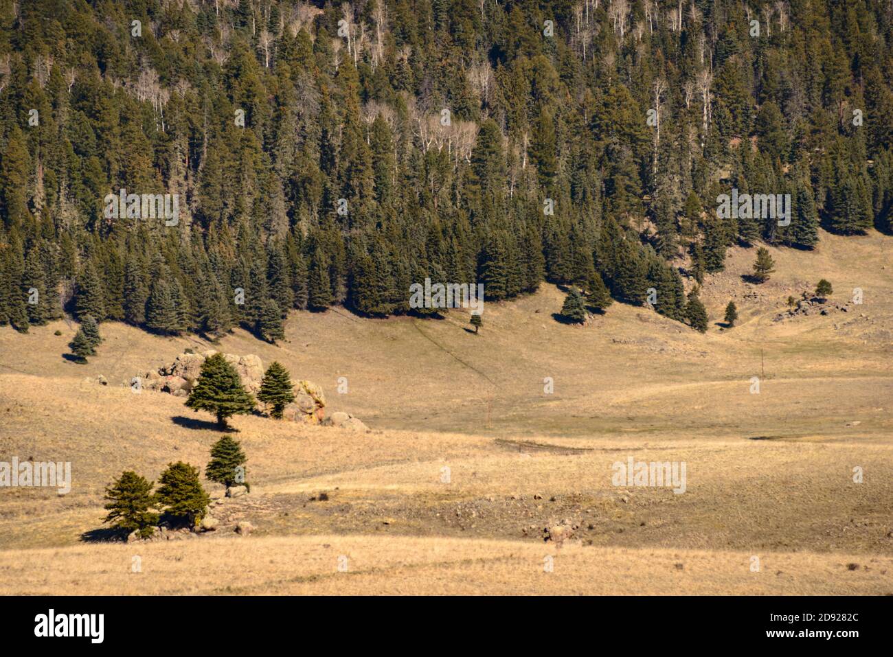 Valles Caldera National Preserve Foto Stock