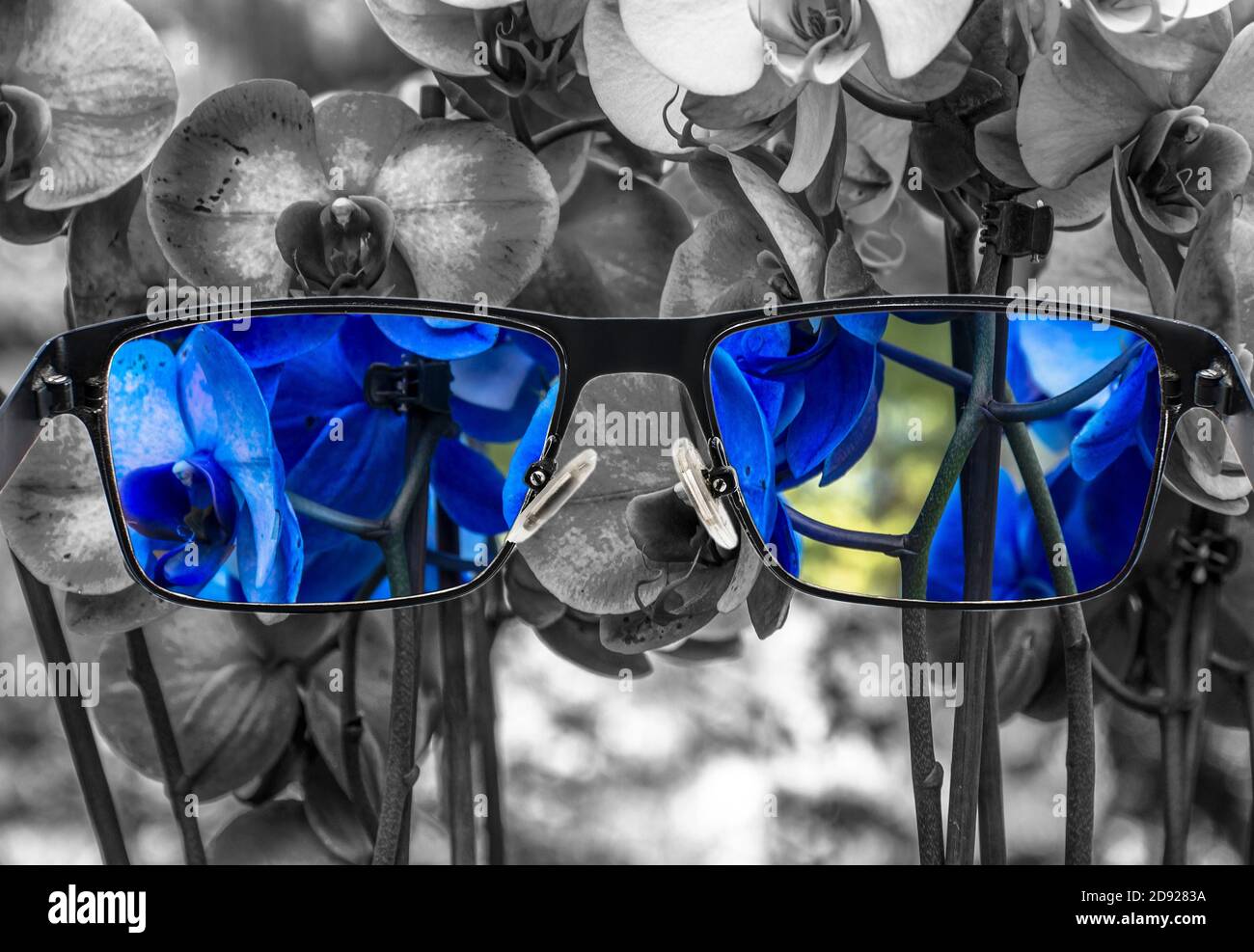 Guardare attraverso gli occhiali. Vista di orchidee blu in occhiali e sfondo monocromatico. Percezione del mondo differente. Ottimismo, speranza, salute mentale Foto Stock