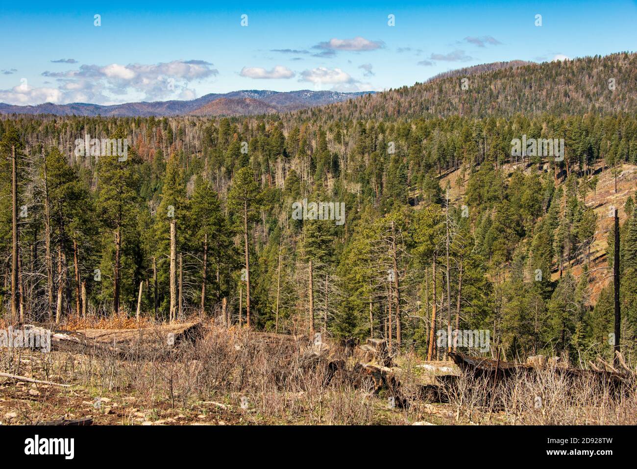 Valles Caldera National Preserve Foto Stock