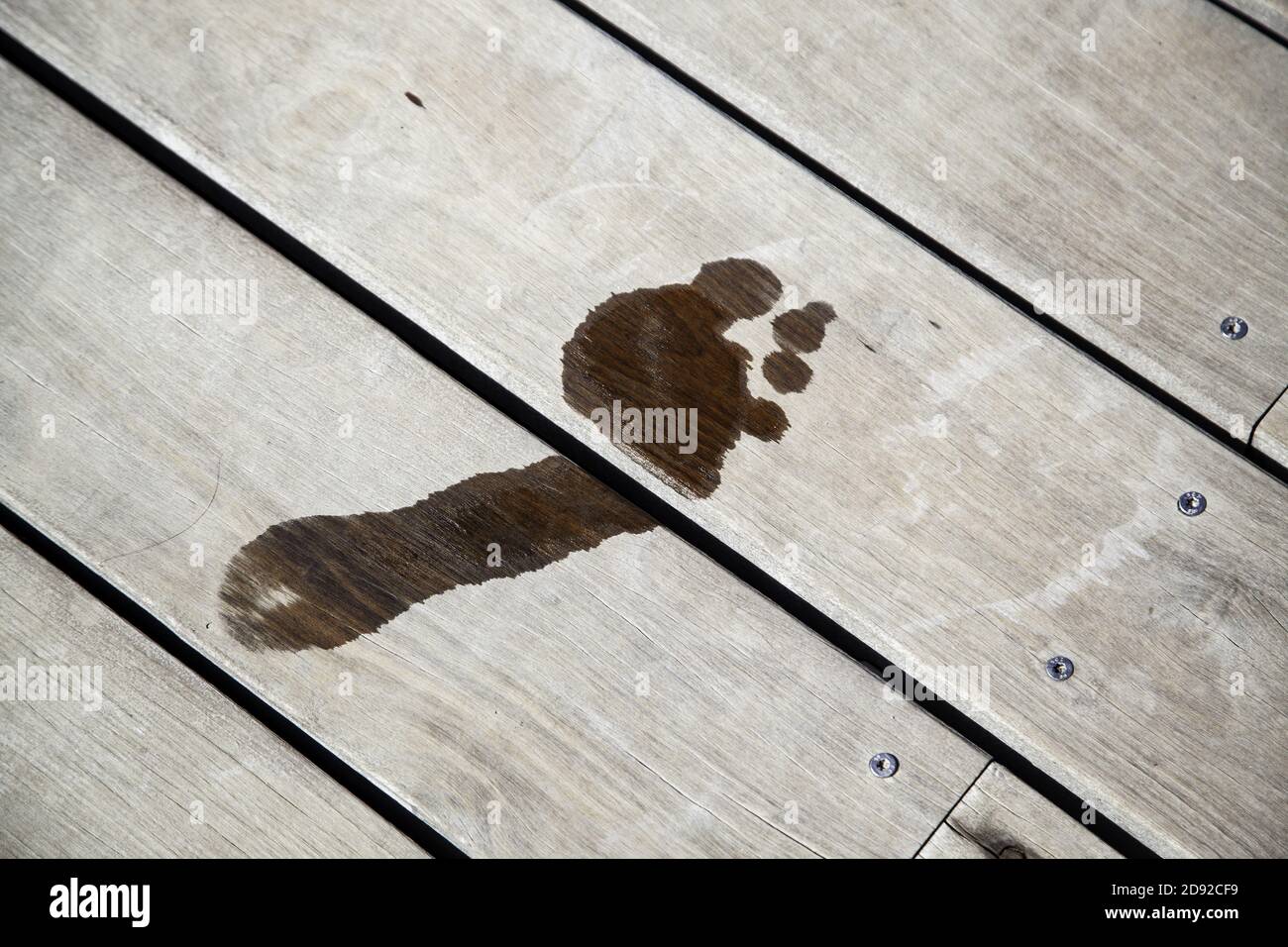Stampe umide sul pavimento in legno, escursioni e sport, relax Foto Stock